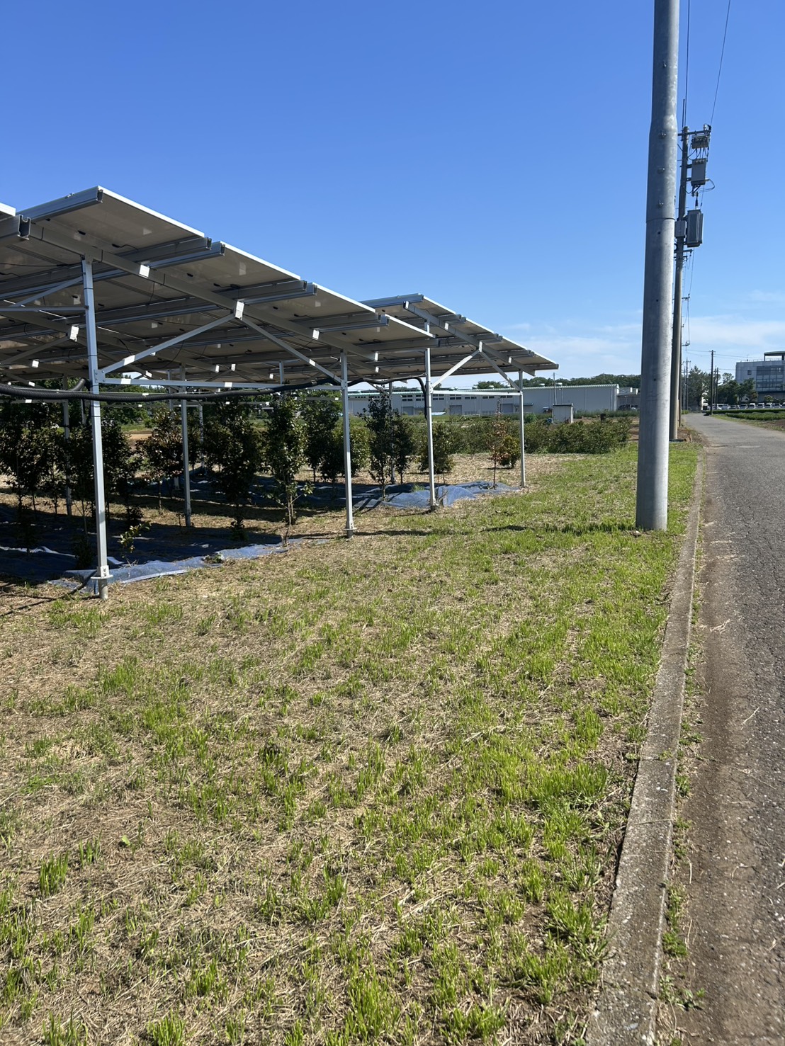埼玉県内の営農型太陽光。遮光率だけでなく、地上高や通路幅といった作業空間の条件も条文に入りました